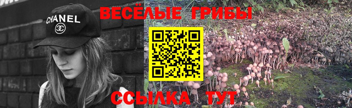 Псилоцибиновые грибы Magic Shrooms  Псилоцибиновые грибы Psilocybe  Вход с VPN  Кинель 
