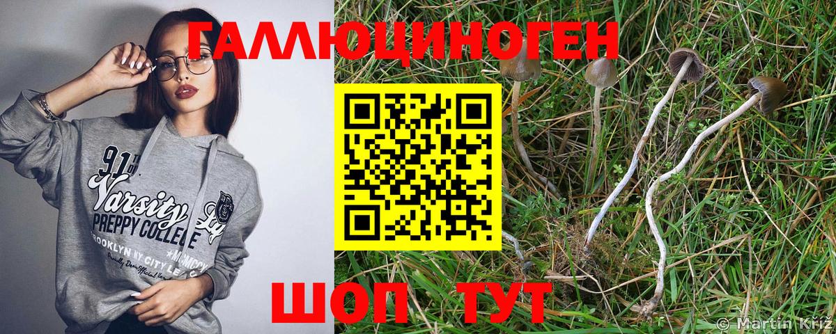 Псилоцибиновые грибы Magic Shrooms Кинель